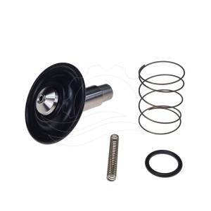 Javítókészlet Bürkert 6213 mágnesszelephez 0-10bar DN13 FKM VA DC