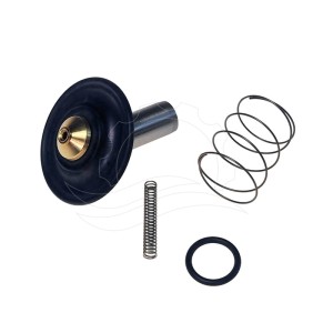Javítókészlet Bürkert 6213 mágnesszelephez 0-10bar DN13 EPDM MS AC