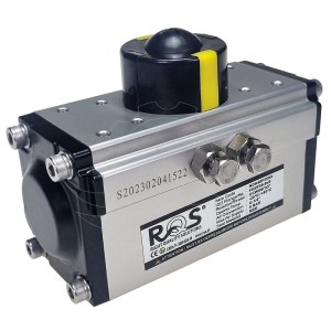 Pneumatikus forgóhajtás RQS NDA40 F35X9